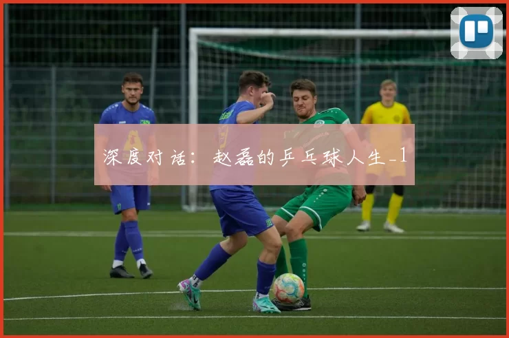 深度对话：赵磊的乒乓球人生_1