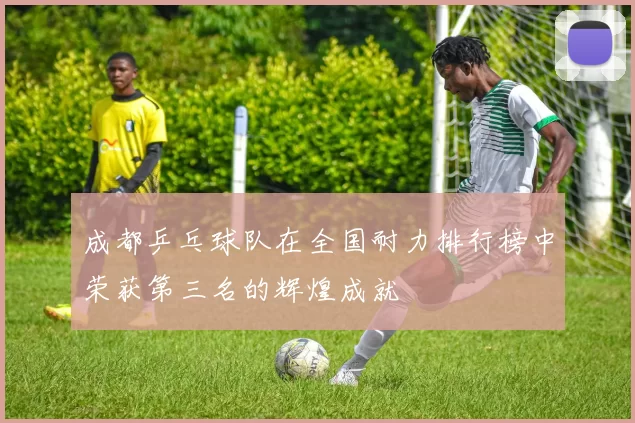 成都乒乓球队在全国耐力排行榜中荣获第三名的辉煌成就