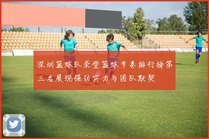 深圳篮球队荣登篮球节奏排行榜第三名展现强劲实力与团队默契