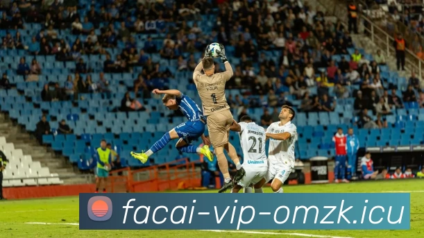 华体会体育APP 封面图